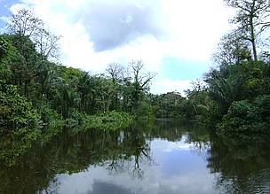 Rio Cupixi, um dos acessos à Reserva de Desenvolvimento Sustentável do Iratapurú.