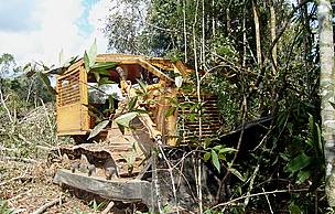 Maquinário pesado avança sobre a floresta tropical