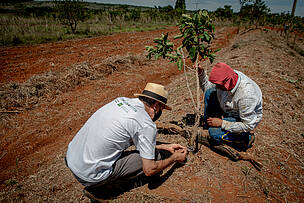 Projeto Une Produ O De Alimentos E Restaura O Do Cerrado Wwf Brasil