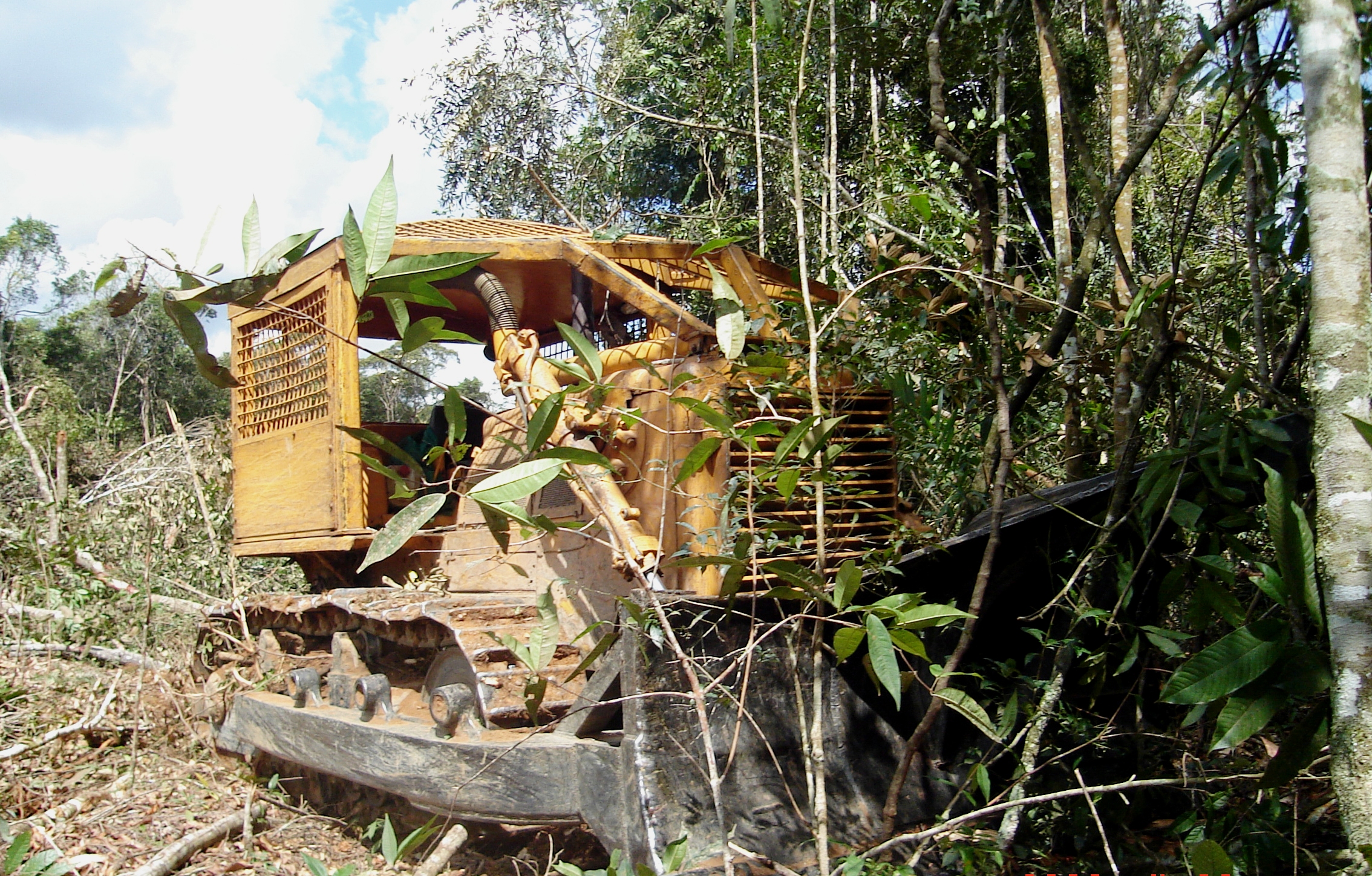 Maquinário pesado avança sobre a floresta tropical