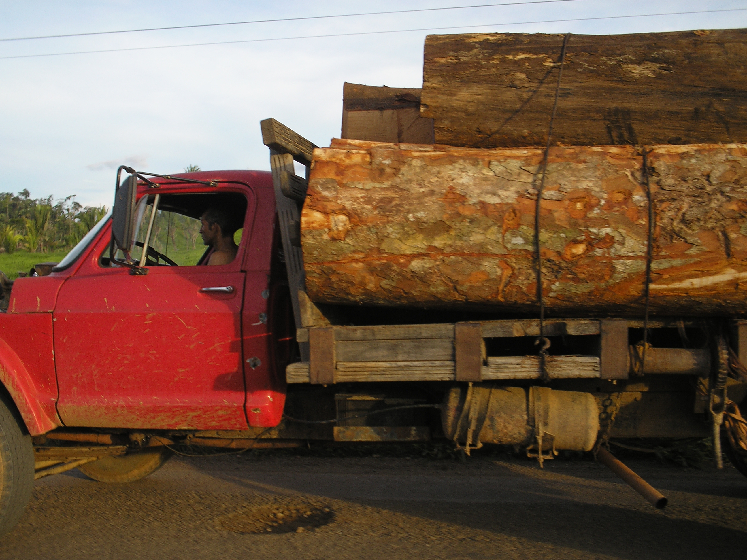 Flagrante de transporte ilegal de madeira no estado de Rondônia.