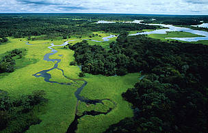 Vista aérea da floresta alagada durante a estação chuvosa, Reserva Florestal do Rio Negro, Amazonas.