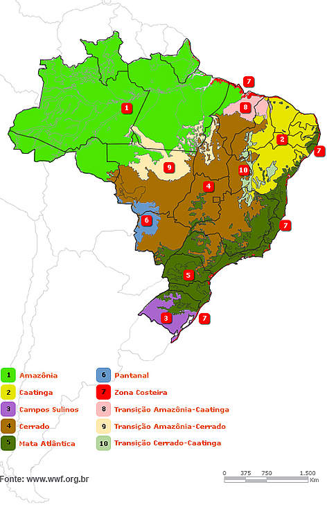 Mapa dos biomas brasileiros rel=