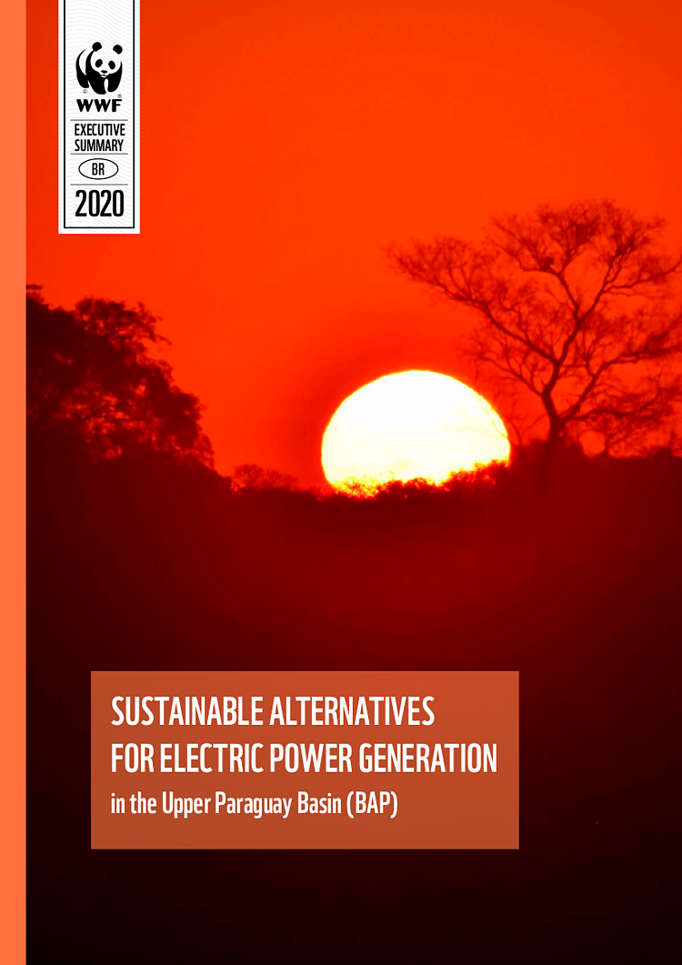  SUSTAINABLE ALTERNATIVES FOR ELECTRIC POWER GENERATION in the Upper Paraguay Basin (BAP) 