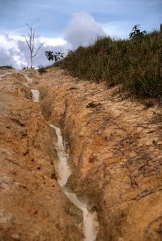 Erosão do solo próximo a Manaus, Amazonas 
© WWF / Adam MARKHAM 