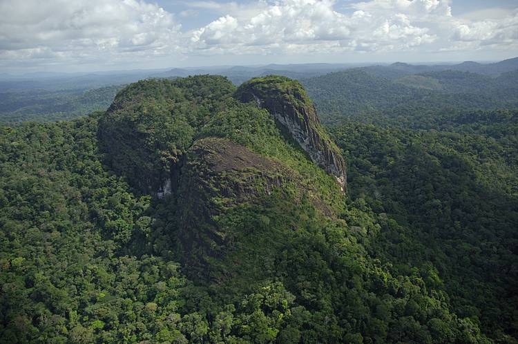 WWF lança plataforma de monitoramento de alterações em áreas protegidas brasileiras