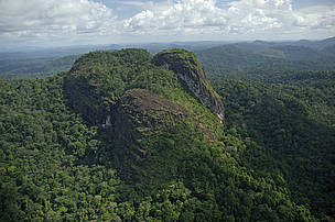 Programa de Áreas Protegidas da Amazônia (Arpa).