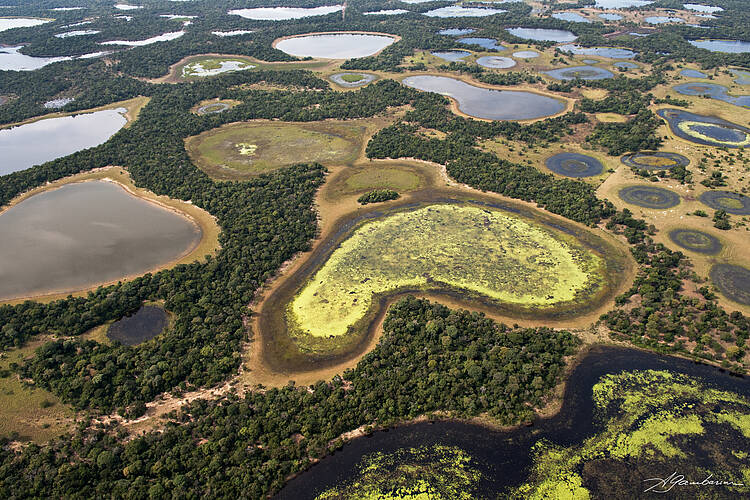  Pantanal, mayor humedal del planeta 