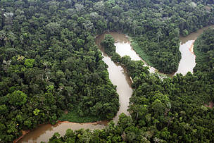 Rio sinuoso na Floresta Nacional de Bom Futuro, em Rondônia