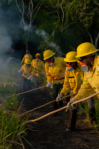  A formação de brigadistas voluntários é estratégia importantíssima contra queimadas no Brasil 