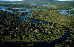 Com 2.621 km de extensão, sendo 1.683 em território brasileiro, o rio Paraguai e seus afluentes ... 
© WWF / Juan PRATGINESTOS