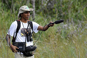A memória auditiva é a mais importante ferramenta para o estudo das aves 
© WWF-Brasil / Adriano Gambarini