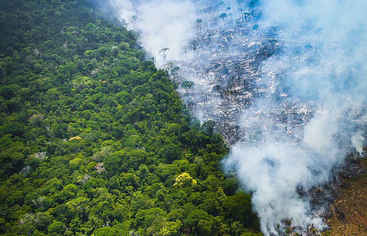  Sobrevoo mostra queimadas no Pará 