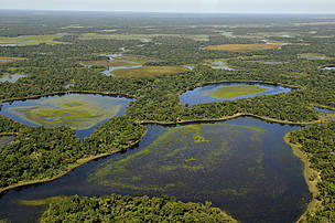 A conservação das nascentes no planalto da BAP é importante para garantir o regime de indundações na planície, responsável pela existência do Pantanal. 