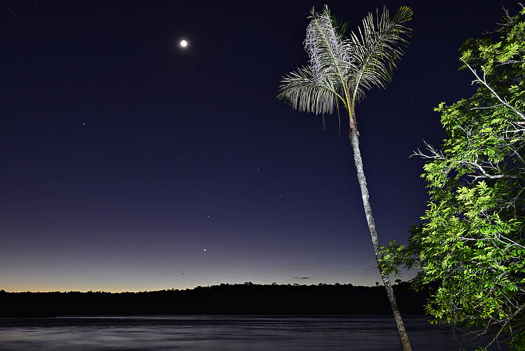 Economia e conservação da natureza: estudo investiga o potencial turístico do Sul do Amazonas