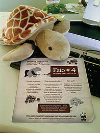 Fatos sobre as mudanças no Código Florestal. A tartaruga mostra o fato 4 
© WWF-Brasil
