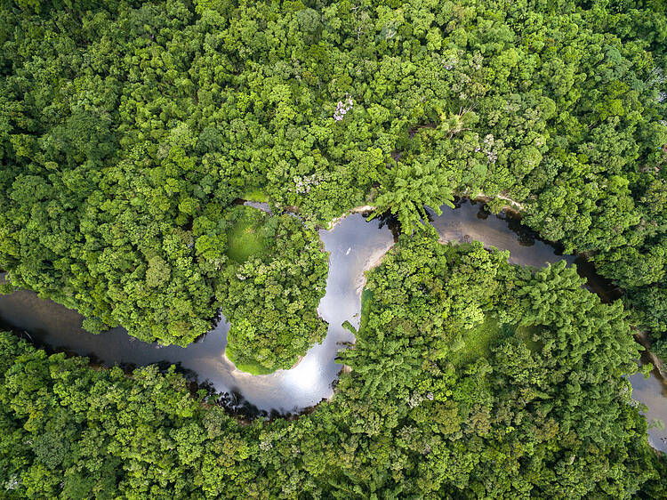  Visão aérea da Amazônia 