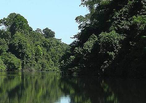  View of the Sucunduri river, in the WWF-Brazil Expedition to the National Park ofJuruena, Mato Grosso, Brazil. 