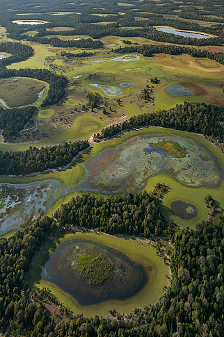  Importantes para o equilíbrio ecológico da Terra, as áreas úmidas são zonas de fronteira entre ambientes aquáticos e terrestres 