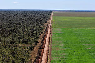 Foto aérea de plantação de soja na região de Ribeiro Gonçalves, Piauí.