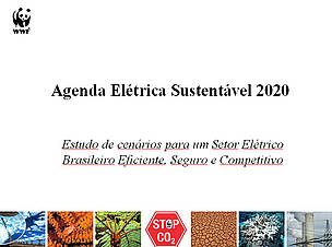 Agenda Elétrica Sustentável 2020 
© WWF-Brasil