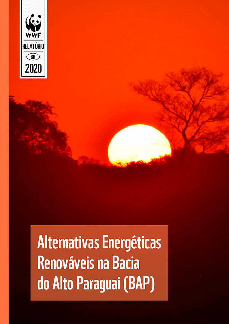 Alternativas Energéticas Renováveis da Bacia do Alto Paraguai (BAP)