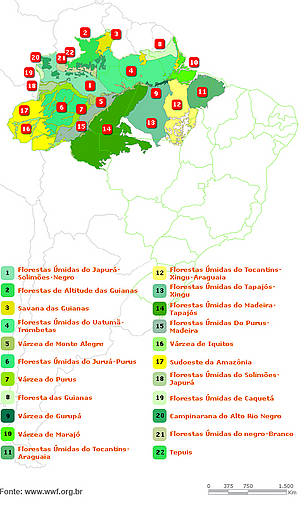Mapa do bioma amazônico e suas ecorregiões 
© WWF-Brasil