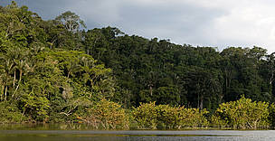 WWF-BRASIL: discutir hidrelétricas uma a uma é desperdício de energia