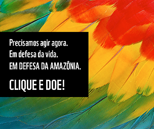 Precisamos agir agora. Em defesa da vida. Em defesa da Amazônia. Clique e doe!