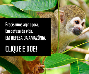 Precisamos agir agora. Em defesa da vida. Em defesa da Amazônia. Clique e doe!