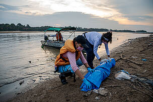 Cientistas resgatam boto nas margens do lago Tefé 