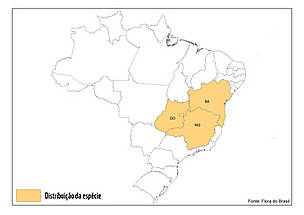 Mapa - Coquinho-Azedo