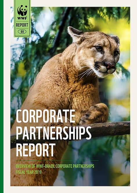  Brazil's Corporate Partnerships Report 2019 