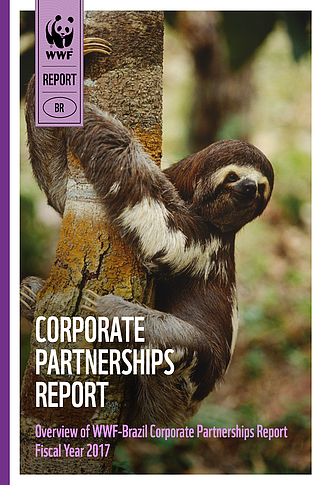  Corporate Partnerships Report 2017 