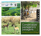 Conservando pastagens e paisagens – pecuária de corte no Pantanal