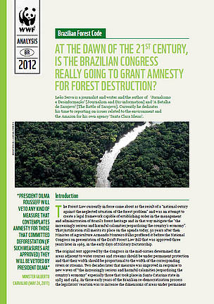 At the down of the 21st century, is the Brazilian Congress really going to grant amnesty for forest destruction?