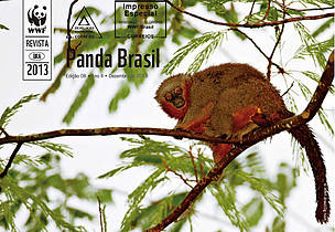 Revista Panda Brasil - Edição 08