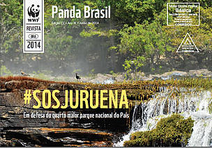 Revista Panda Brasil - Edição 10