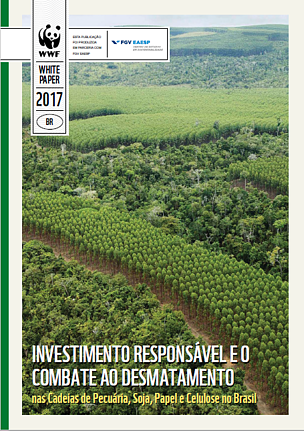 Investimento Responsável e o Combate ao Desmatamento nas cadeias de Pecuária, Soja, Papel e Celulose no Brasil
