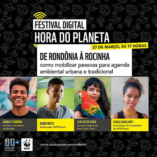  Painel sobre agenda ambiental, como parte da programação do Festival Digital Hora do Planeta 2021 