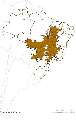 Mapa do bioma cerrado 
© WWF-Brasil