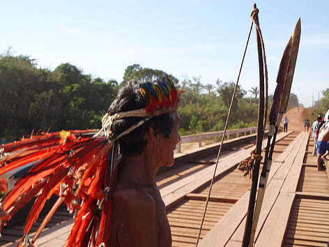  APITEM / Emergência Amazônica 