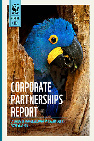  Corporate Partnerships Report 2018 