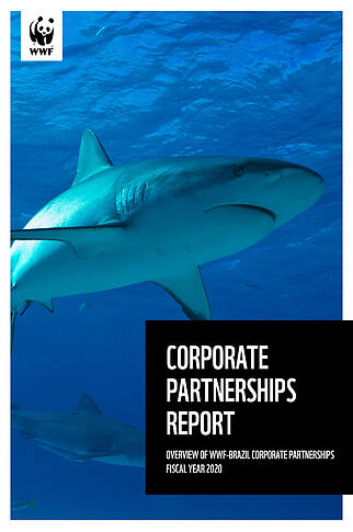  Corporate Partnerships Report 2020 