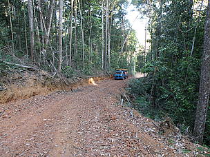 A construção de estradas na floresta requer cuidadoso planejamento para reduzir impactos ambientais 
© WWF-Brasil/Bruno Taitson