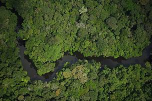 Governo publica decreto que coloca em risco nove áreas protegidas na Amazônia