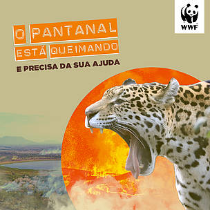 O Pantanal está queimando e precisa da sua ajuda 
© WWF-Brasil
