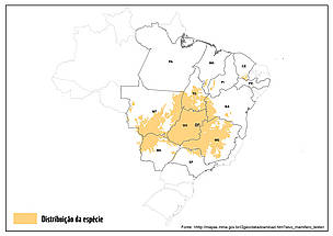 Mapa de distribuição: Veado-campeiro (Ozotoceros bezoarticus)