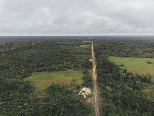 Na Amazônia, as estradas geralmente são vetores de desmatamento e degradação, causando sérios impactos no interior da floresta