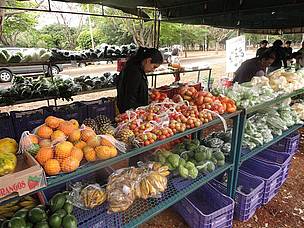 Orgânicos na feira da Estação Biológica (Asa Norte): benefícios à saúde e ao meio ambiente
